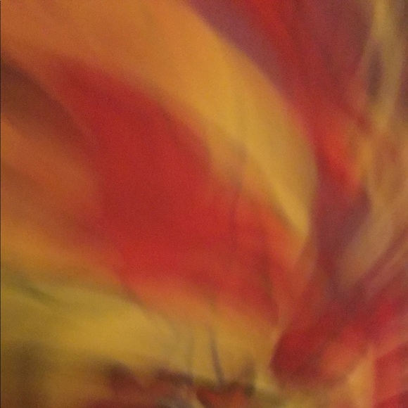 Meet your Posher, Megan - Picture 1 of 1